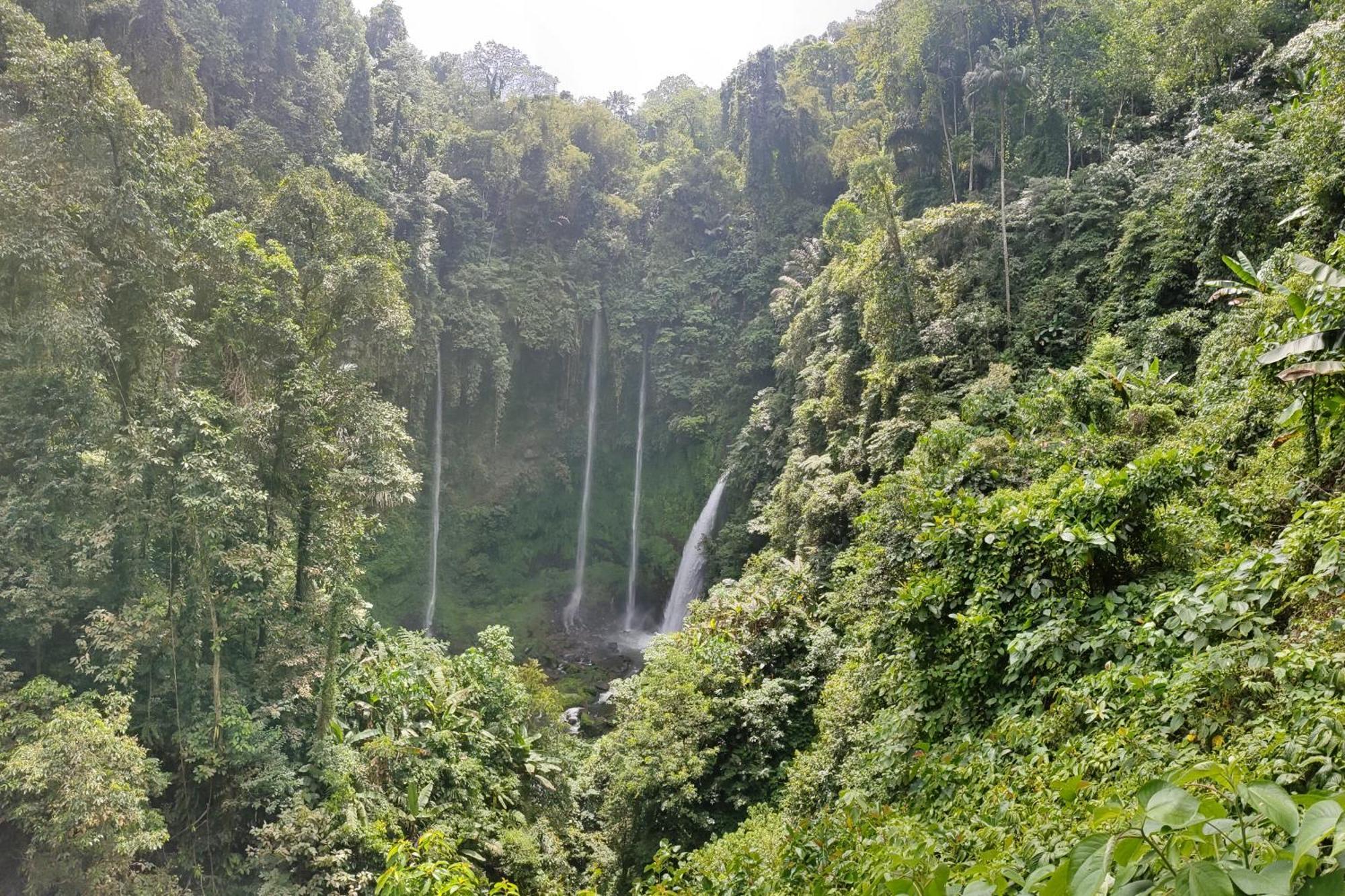 Ilasan Cottage. Tomohon Экстерьер фото